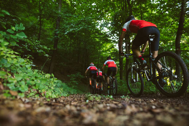 istock Group of men mountain biking in nature 1020675172