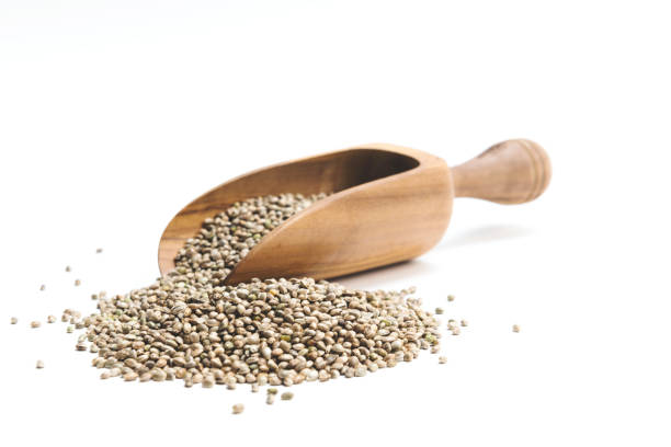 Hemp seeds on white