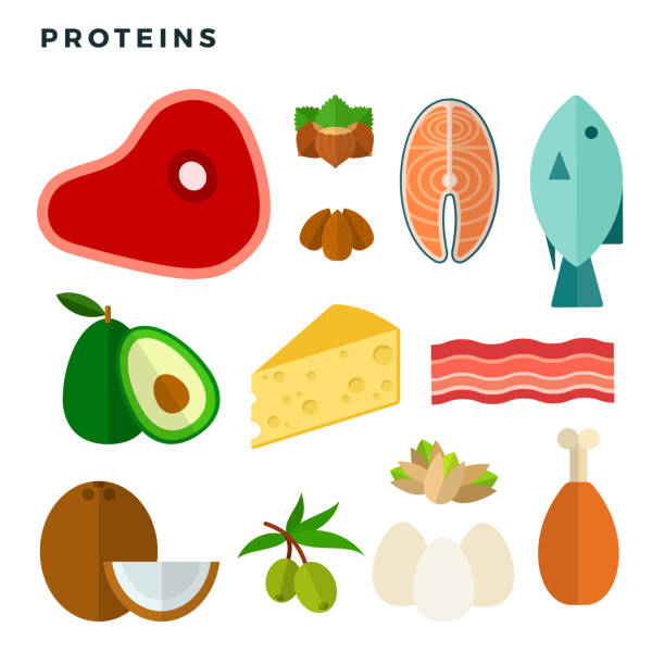illustrations, cliparts, dessins animés et icônes de aliments riches en vecteur protéique plat isolés - carbohydrate ingredient food state choice