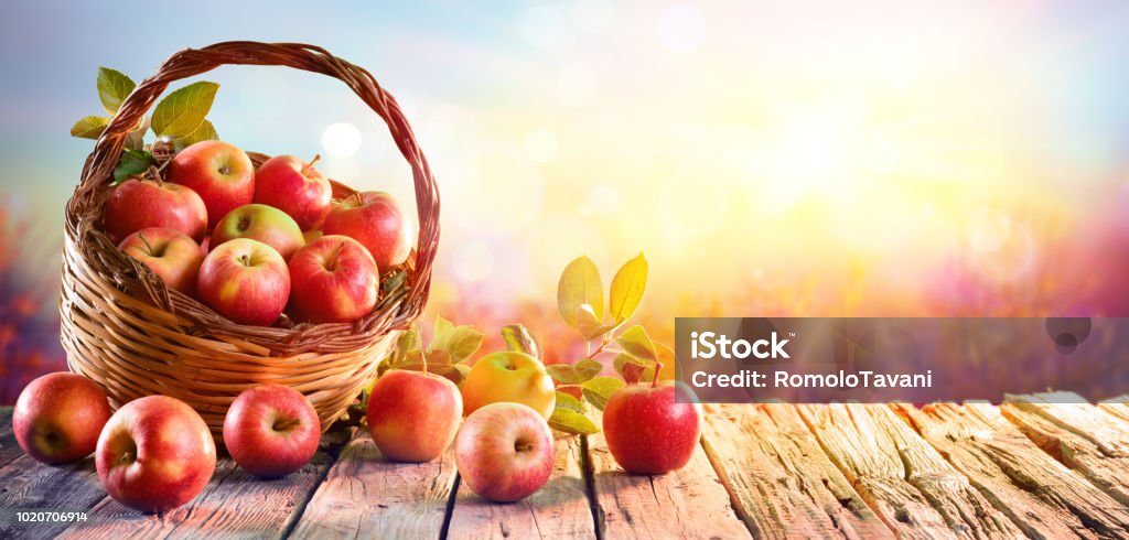 Red Apples In Basket On Wooden Table At Sunset Red Apples In Basket On Aged Table At Sunset In Orchard Apple - Fruit Stock Photo