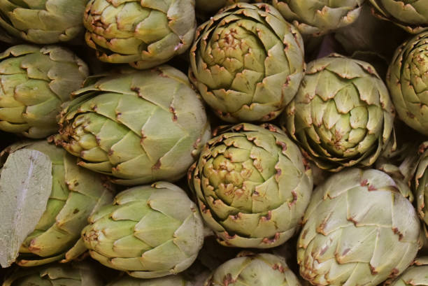 istock Photo of background with Artichoke 1020712904