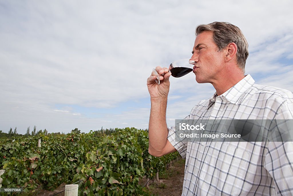 Homme d'âge mûr boire du vin rouge dans les vignobles - Photo de 50-54 ans libre de droits