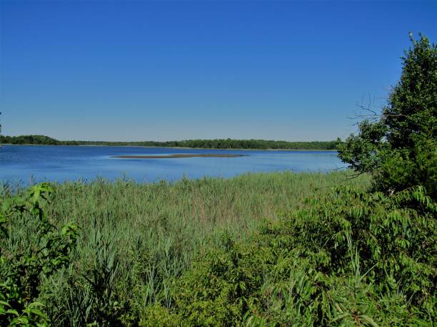 istock Landscape Of The Wetlands 1020721252