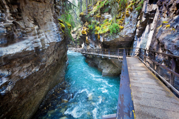 Hiking Trail in Johnson Canyon in Banff National Park of Canada The hiking trail of Johnson Canyon in Banff National Park of Canada rocky mountains banff alberta mountain stock pictures, royalty-free photos & images