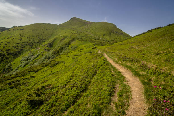 istock The road in the Carpathian mountains.  Ukraine. 1020736366