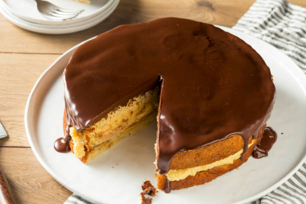 istock Homemade Chocolate Boston Cream Pie 1020739144