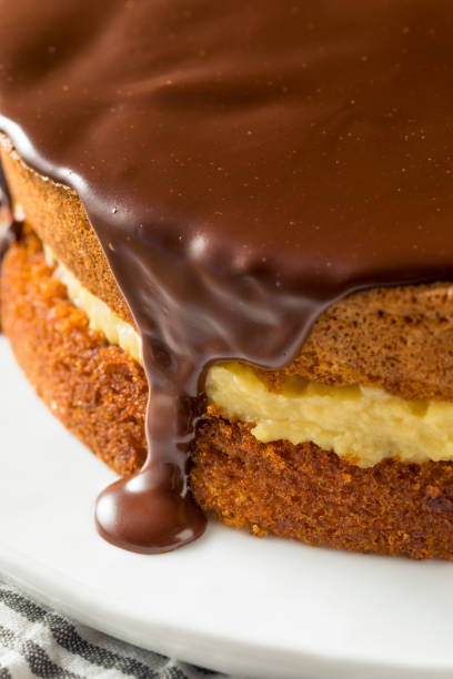 homemade chocolate boston cream pie - dieting food cake sponge cake imagens e fotografias de stock