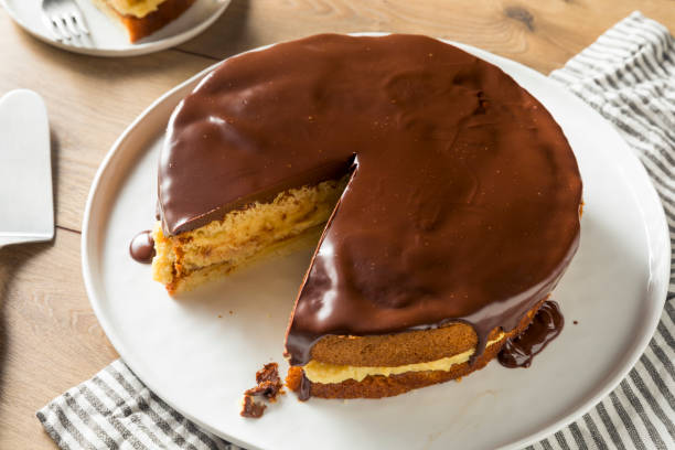 istock Homemade Chocolate Boston Cream Pie 1020740192