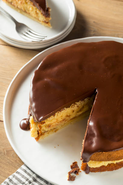 istock Homemade Chocolate Boston Cream Pie 1020741942