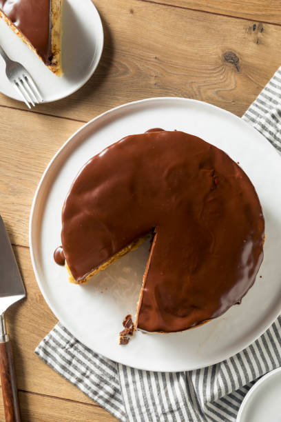 istock Homemade Chocolate Boston Cream Pie 1020742100