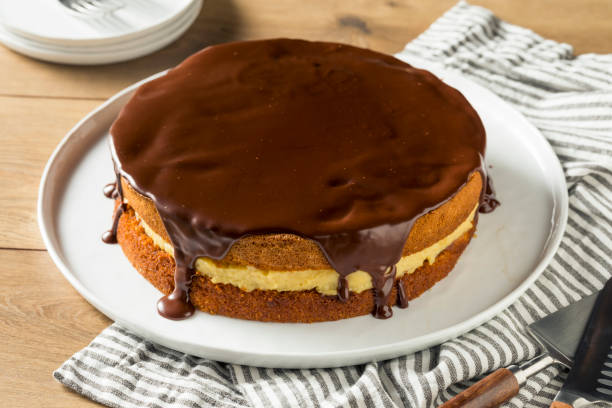 istock Homemade Chocolate Boston Cream Pie 1020742312