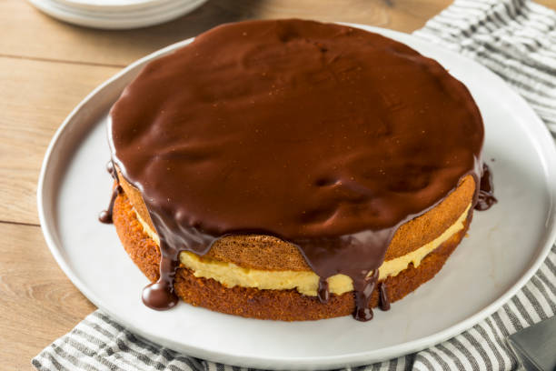 istock Homemade Chocolate Boston Cream Pie 1020742778