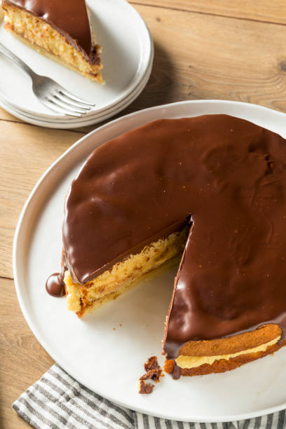 Homemade Chocolate Boston Cream Pie