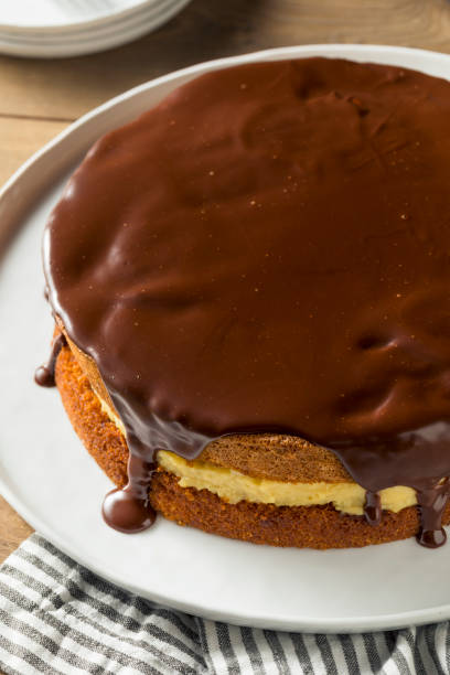 istock Homemade Chocolate Boston Cream Pie 1020747608