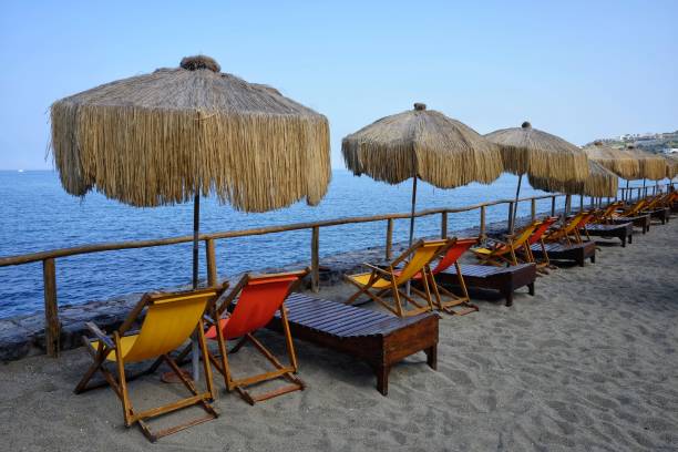 istock palm trees with sun loungers 1020752362