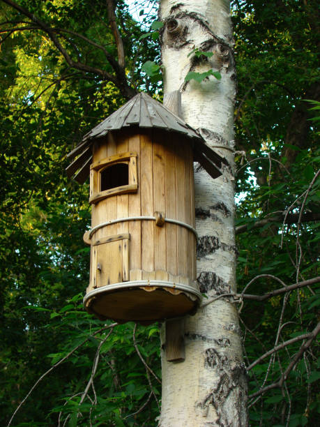 istock wooden birdhouse on the tree 1020752642