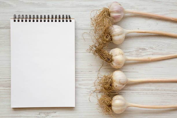 istock Garlic bulbs with blank notepad on white wooden background, top view. Space for text. 1020764312