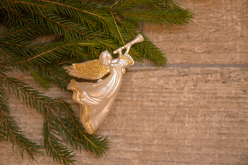 Christmas  trumpet angel toy  with gold wings on Christmas tree branch on wood background
