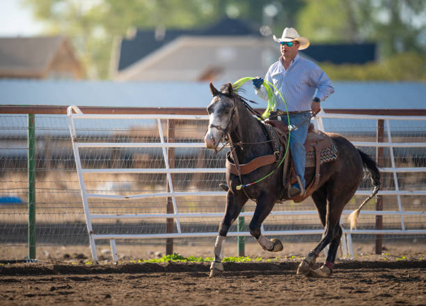 istock Cowboy prepping for Team roping 1020771960