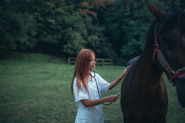 istock Veterinarian and horse 1020774994