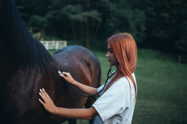 istock Veterinarian and horse 1020774998