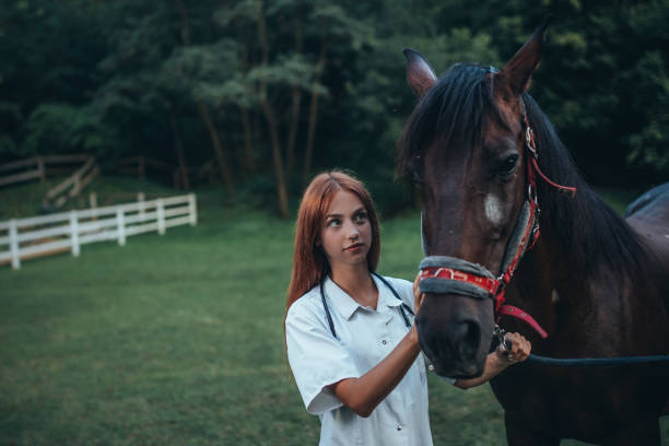 istock Veterinarian and horse 1020775052