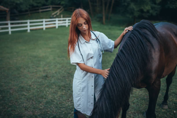 istock Veterinarian and horse 1020775060