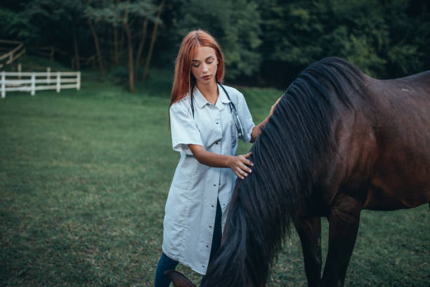 istock Veterinarian and horse 1020777186