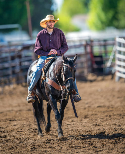 istock Cowboy Horseback Riding 1020777326