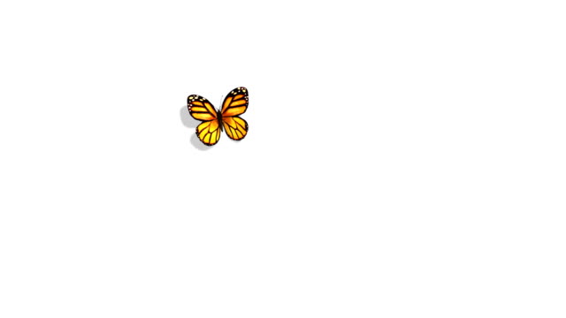 Orange Butterfly Flying on a Blue Background