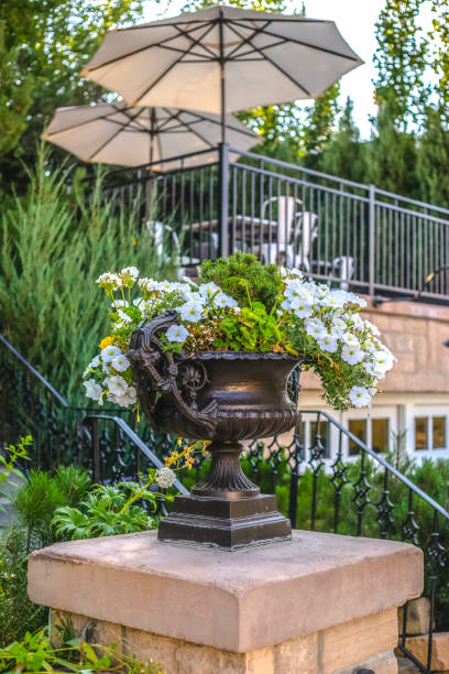 istock Potted white flowers in a planter on pedestal 1020811774