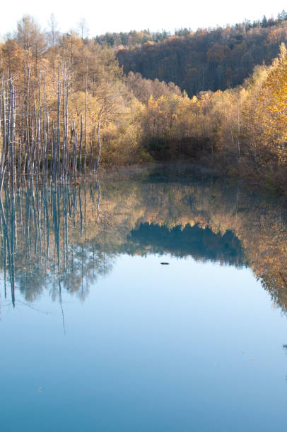 istock Autumn lake Biei-cho Blue Pond 1020821450