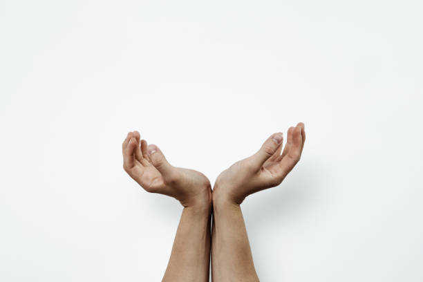 Hand Stack Pictures 90+ Stack Of Hands Diverse Isolated Cut Out Stock Photos, Pictures ...