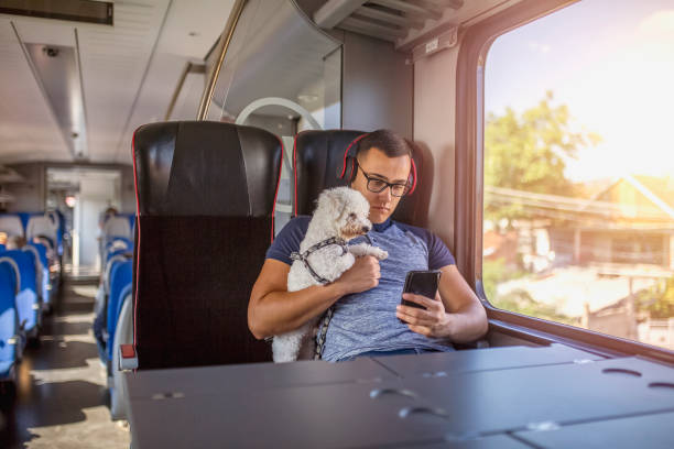 istock Young man traveling  by train 1020831338