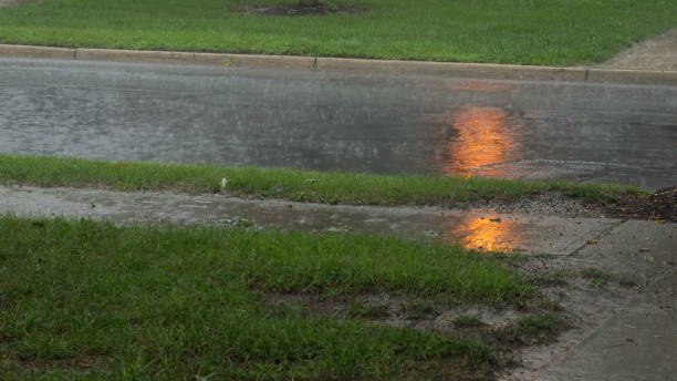 istock Heavy rain on asphalt. Summer thunderstorm with hard rain falling on a street. 1020860342