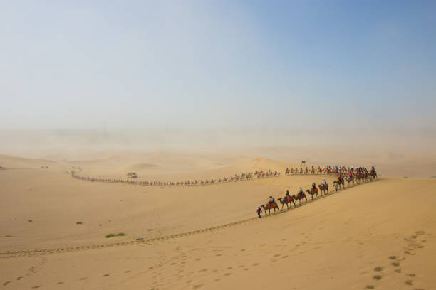 os turistas andar de camelo no deserto de sol verão - turpan - fotografias e filmes do acervo