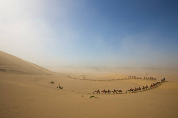 туристы ездят на верблюде по летней пустыне саншайн - turpan стоковые фото и изображения