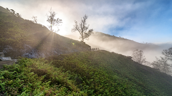 Beautiful view of the way trekking to Kawah Ijen in sunrise time in Java, Indonesia.