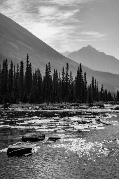 istock A River in the Colorado Rockies 1020881854