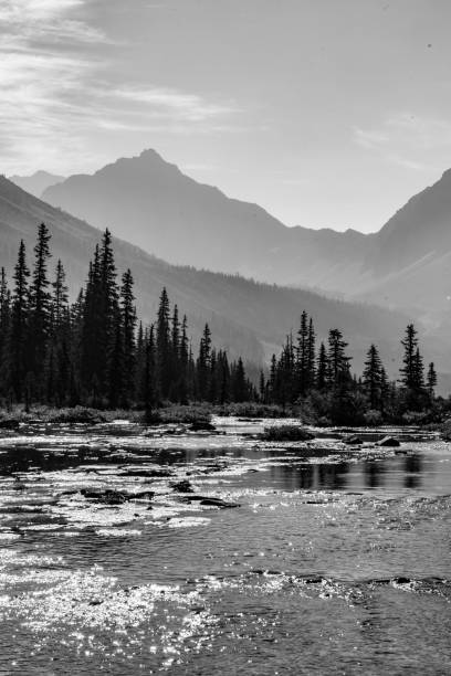 istock A River in the Colorado Rockies 1020883894