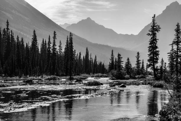 istock A River in the Colorado Rockies 1020884328