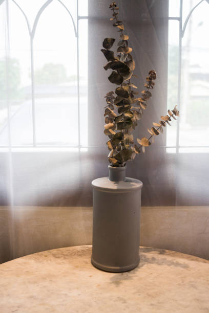 istock Eucalyptus dried leaves branch in vase 1020901968