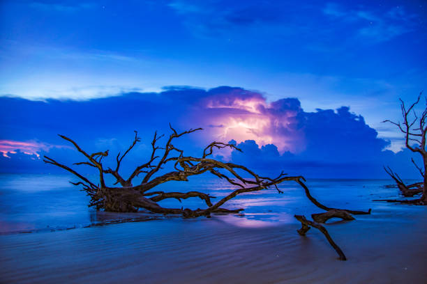 orage à driftwood beach à jekyll island, géorgie, é.-u. - driftwood wood water sunrise photos et images de collection