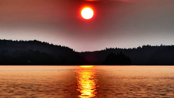 istock Sunset over the water above the forest on the horizon 1020911258