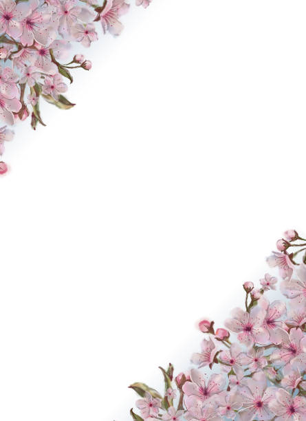 istock Template Decorated with Pink Flowers in the Corners Isolated on White Background. Great for Letterhead, Poster, Announcement, Advertisement, Card, Invitation, and Other Decorated Printable. 1020916130