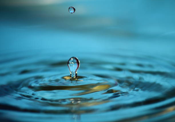 istock beautiful fresh water drops in fresh nature 1020925474