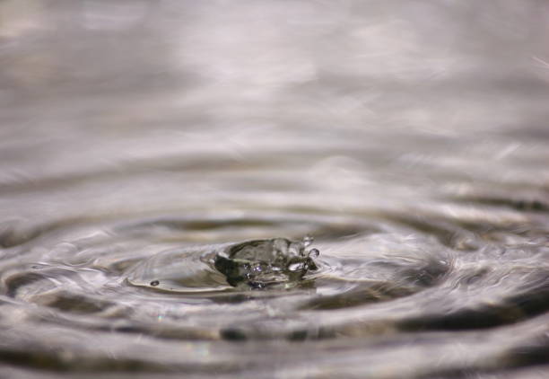 istock beautiful fresh water drops in fresh nature 1020928118
