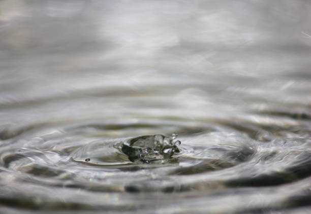 istock beautiful fresh water drops in fresh nature 1020930944