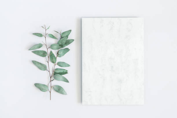 istock Marble paper blank, eucalyptus branches on pastel gray background. Flat lay, top view, copy space 1020939946