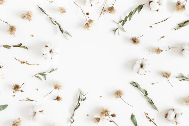 istock Autumn composition. Frame made of eucalyptus branches, dried flowers on white background. Autumn, fall concept. Flat lay, top view, copy space 1020940120